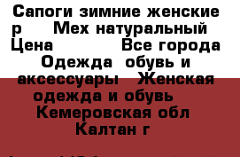 Сапоги зимние женские р.37. Мех натуральный › Цена ­ 7 000 - Все города Одежда, обувь и аксессуары » Женская одежда и обувь   . Кемеровская обл.,Калтан г.